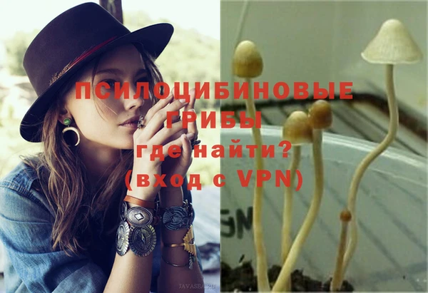 спиды Верея